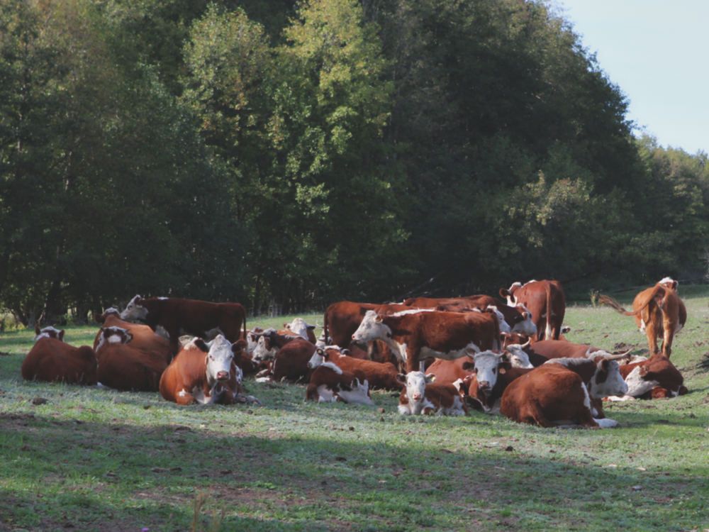 Photograph by Елена Глуховкина