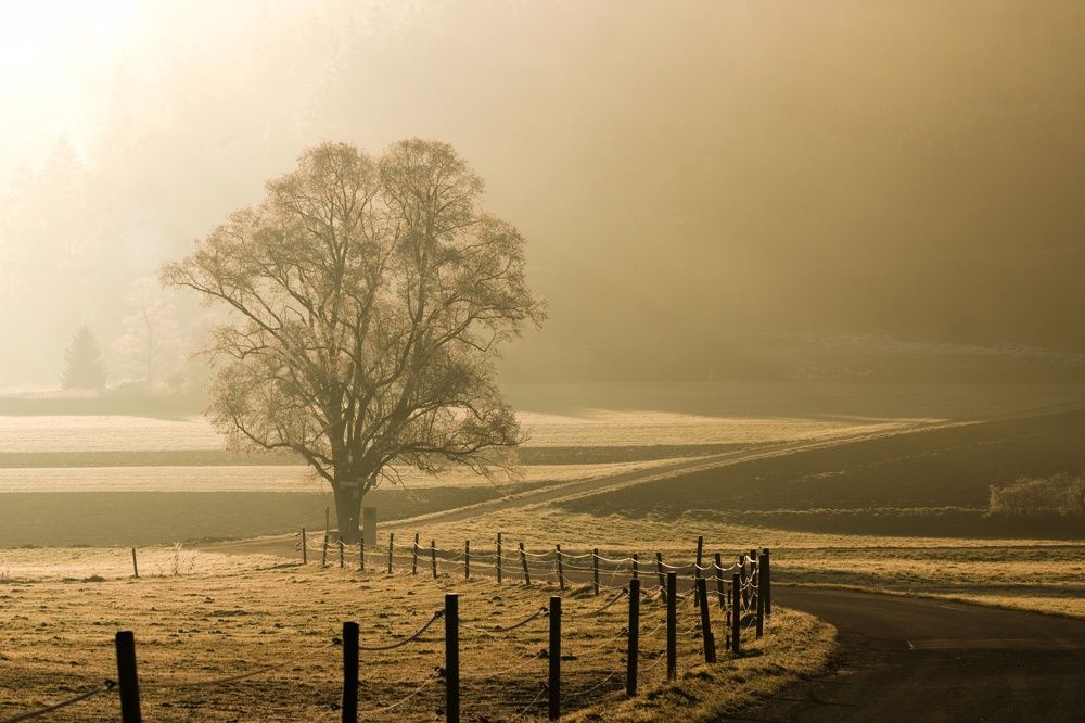 Photograph by Marc Schöner
