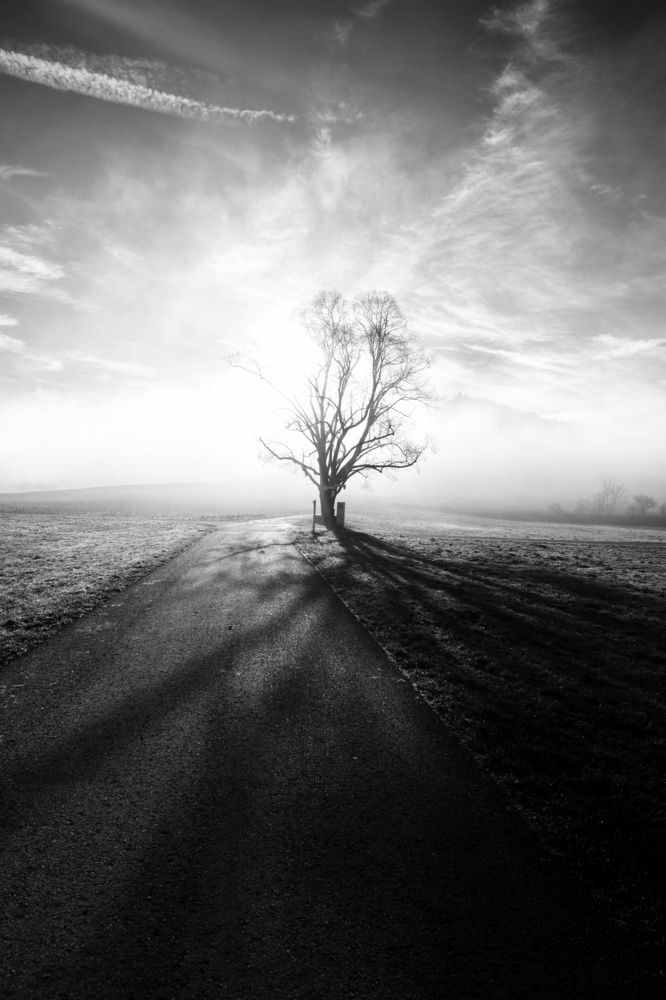 Photograph by Marc Schöner