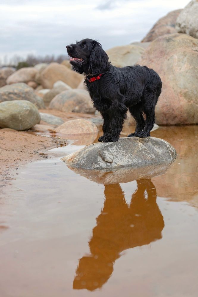 Photograph by Татьяна