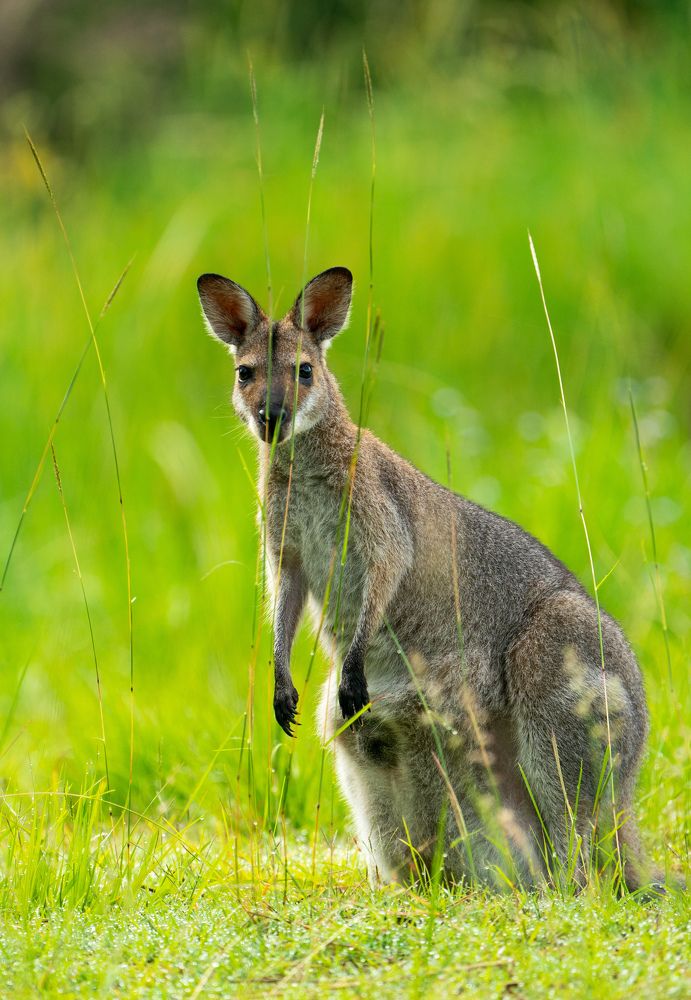 Photograph by Herald Jaison