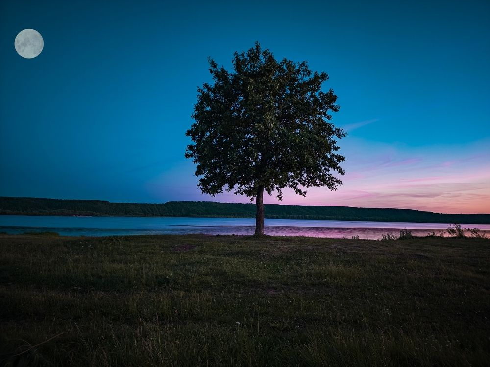 Photograph by Konstantin Martynov