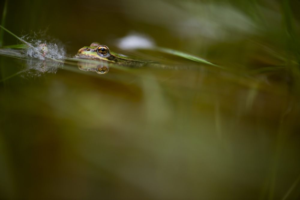 Photograph by stefanini alexis