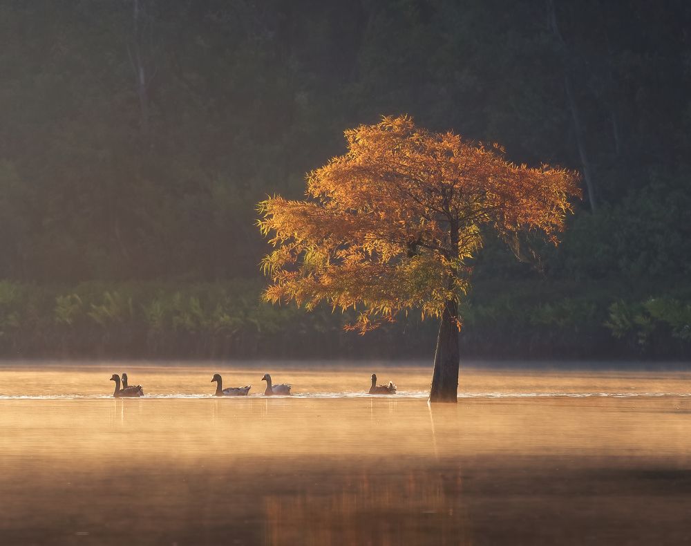 The guardian of the lake