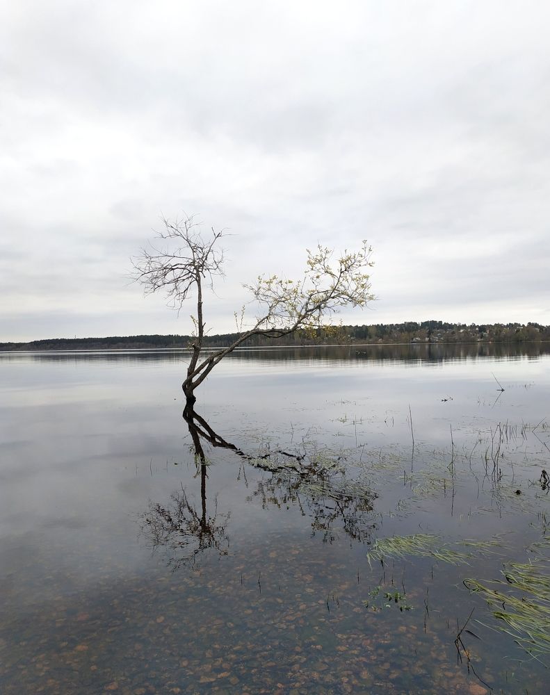 Photograph by Светлана Белозерова
