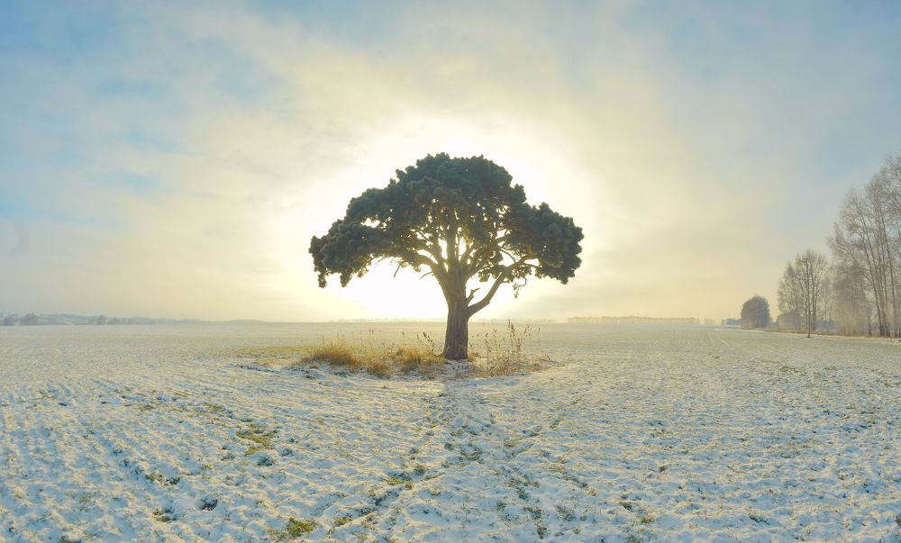 Photograph by Василий Быстрицкий