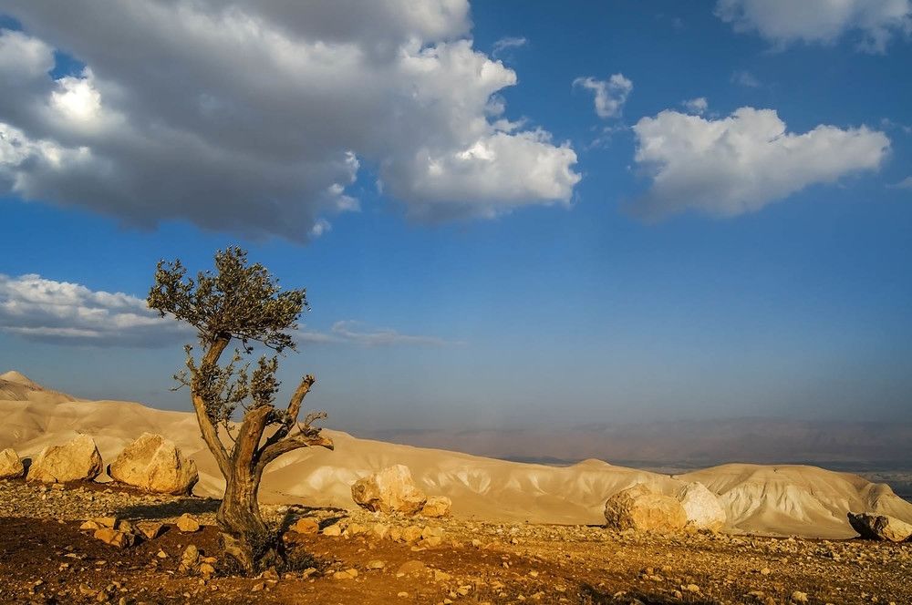 Photograph by Солодар Виктория