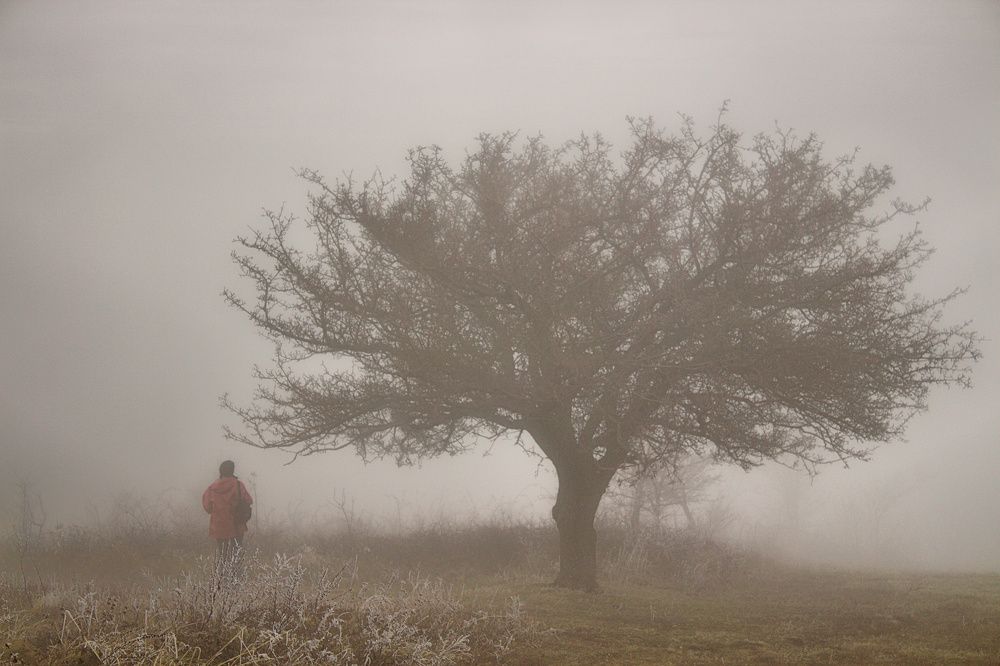 Photograph by Narcis Aurel Mursă