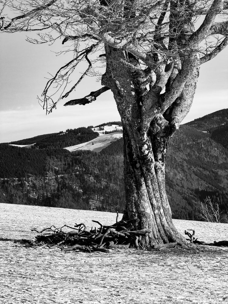 Photograph by daria eipert