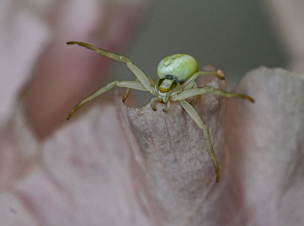 Photograph by Савчук Сергей