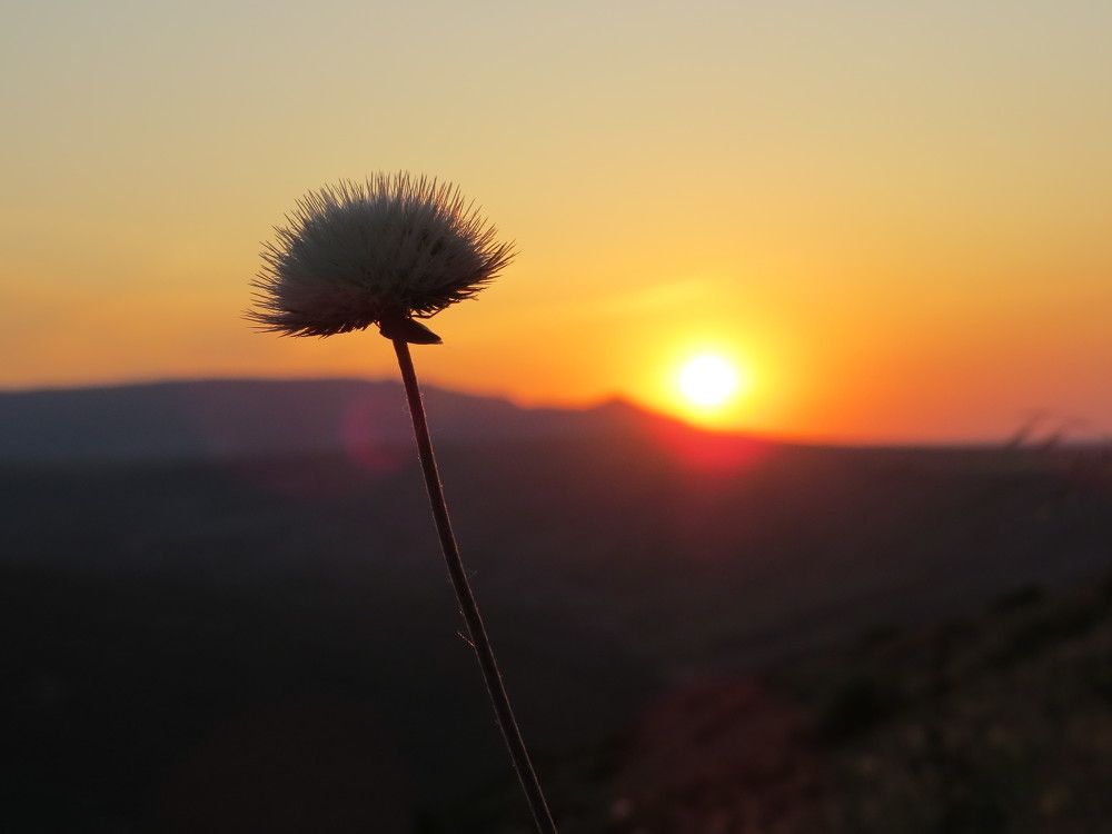 Photograph by Татьяна Стаскевич