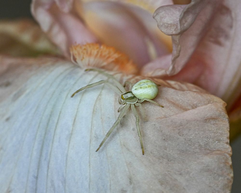 Photograph by Савчук Сергей