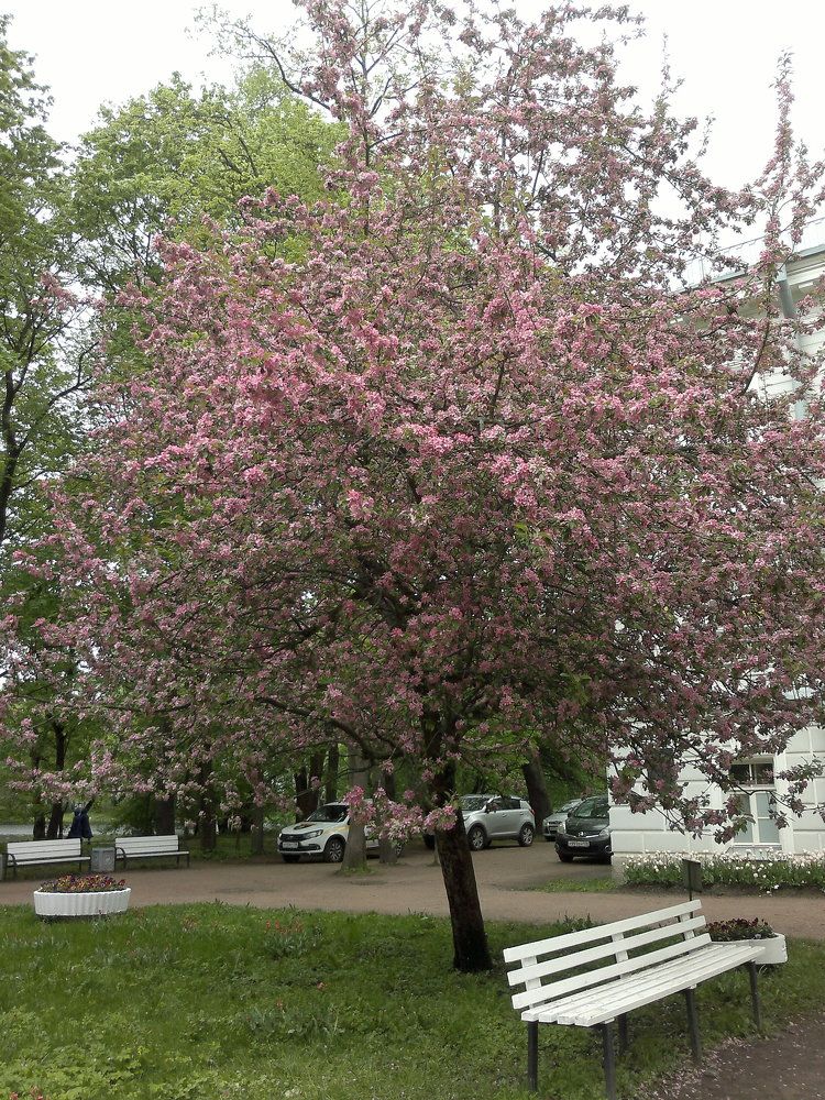 Photograph by Ольга Коркина