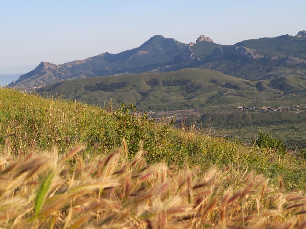 Photograph by Татьяна Стаскевич