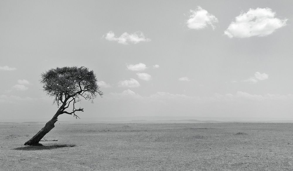 Photograph by Алексей Романов