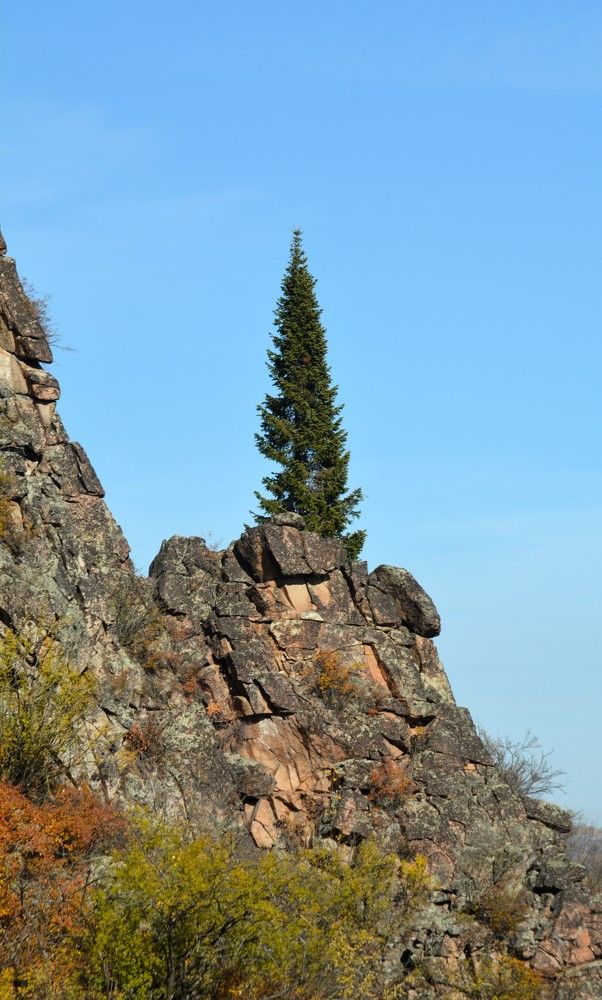 Photograph by Анатолий Каминский