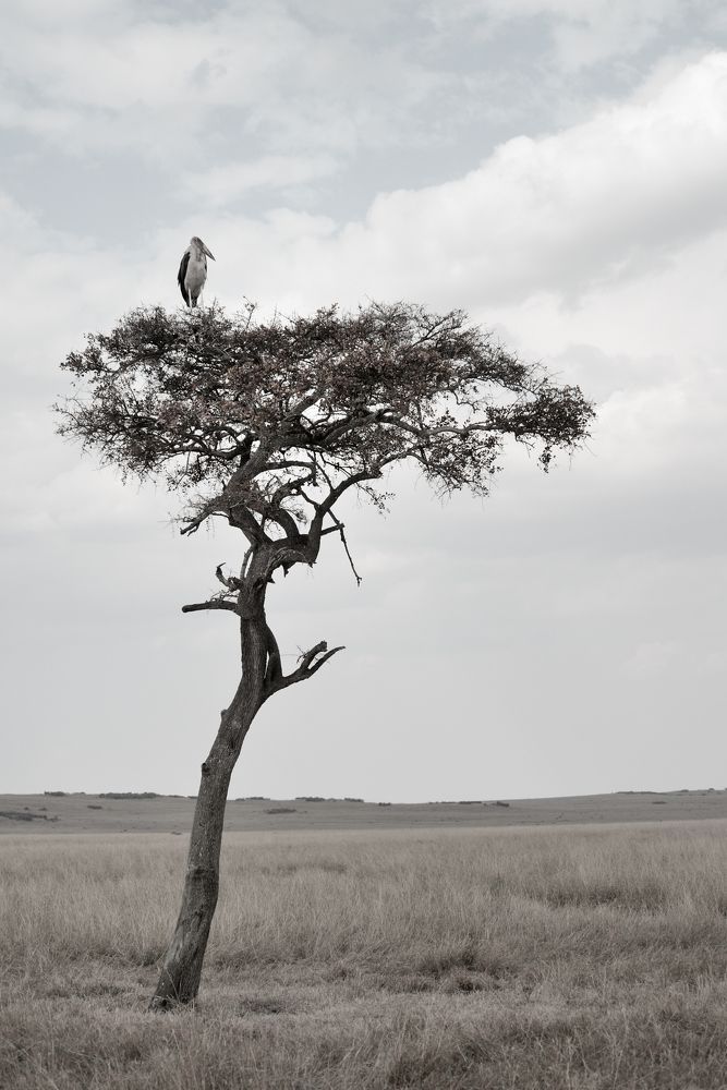 Photograph by Алексей Романов