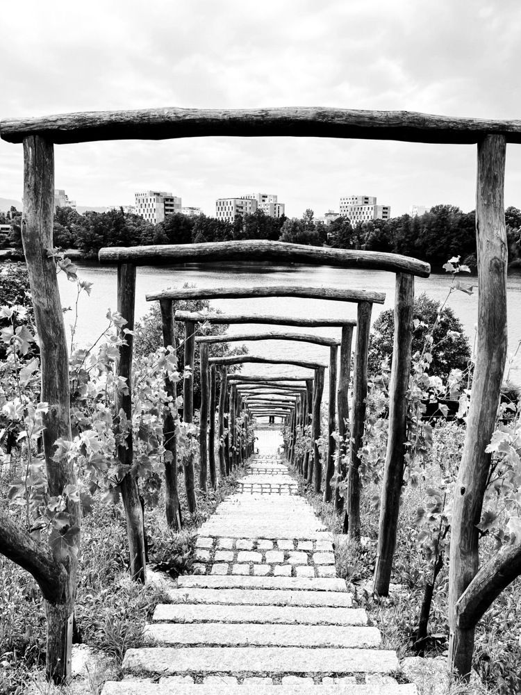 Photograph by daria eipert