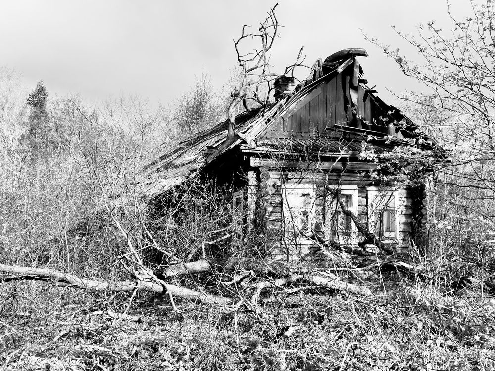 Photograph by Григорий Лыжин