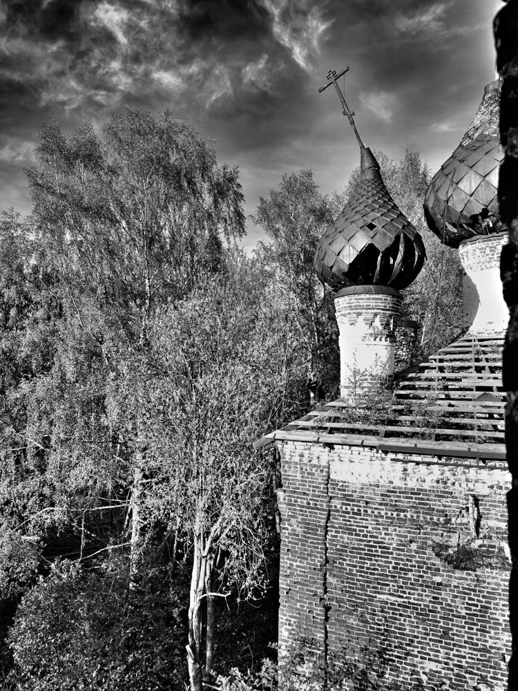 Photograph by Григорий Лыжин