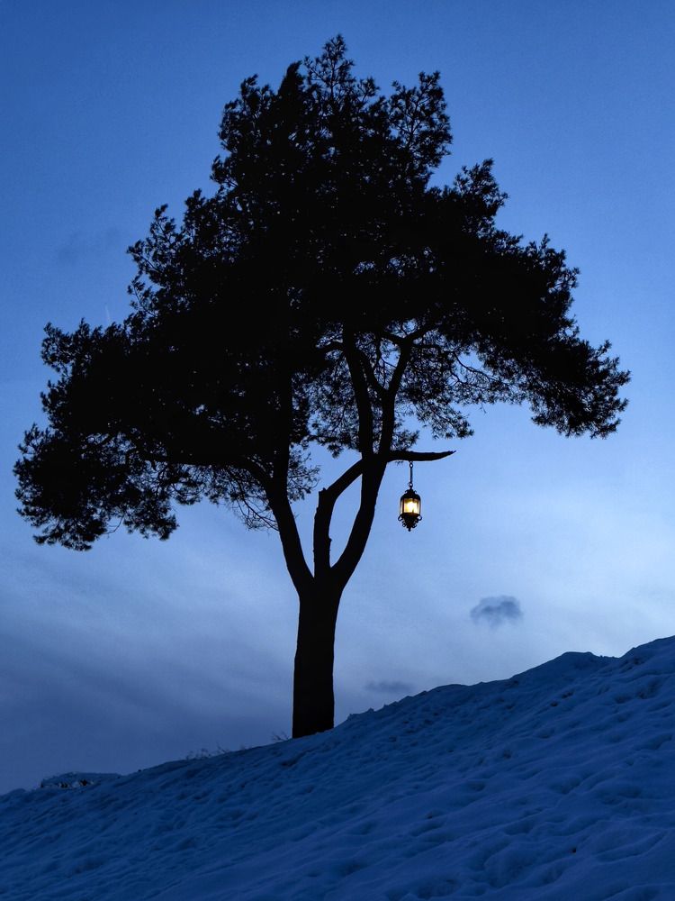 Photograph by Григорий Лыжин