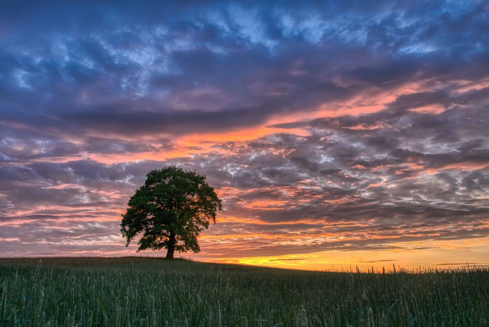 Photograph by Albina Kulikova