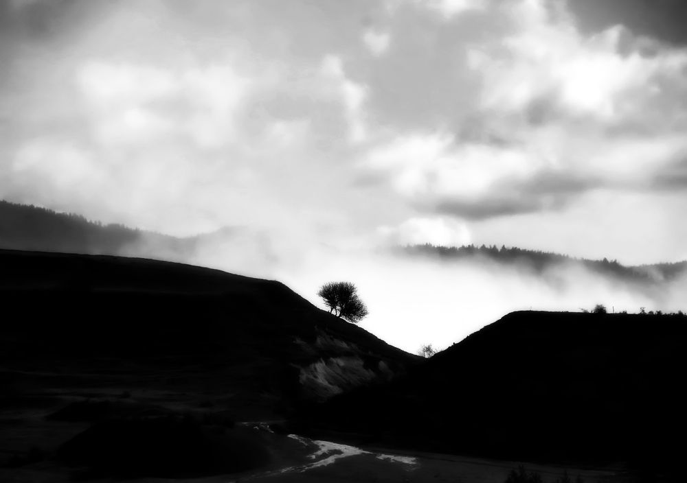 Photograph by Dimitar Denchev