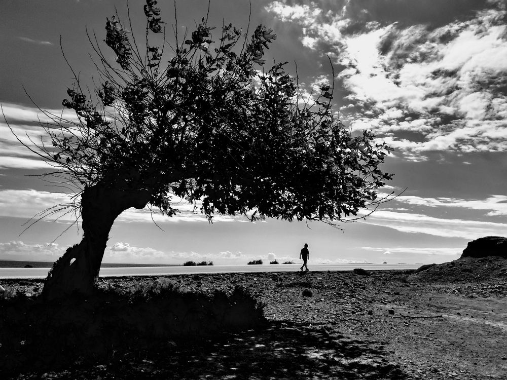 Photograph by Dimitar Denchev