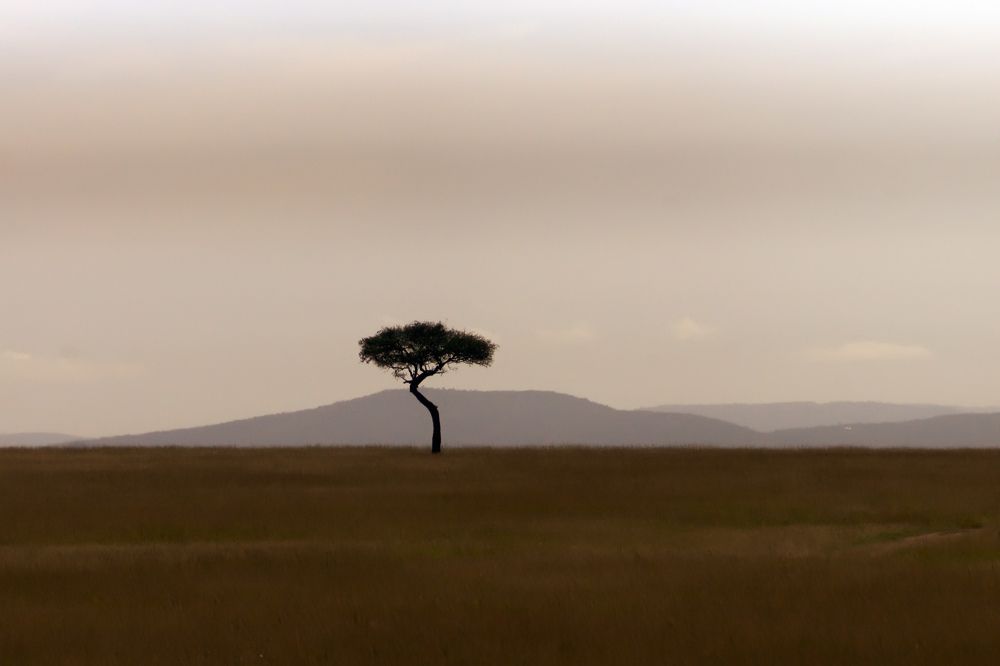 Photograph by Dimitar Denchev