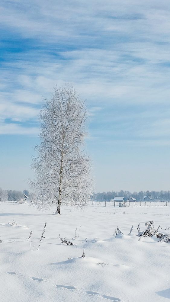 Photograph by Наталия Дроздова