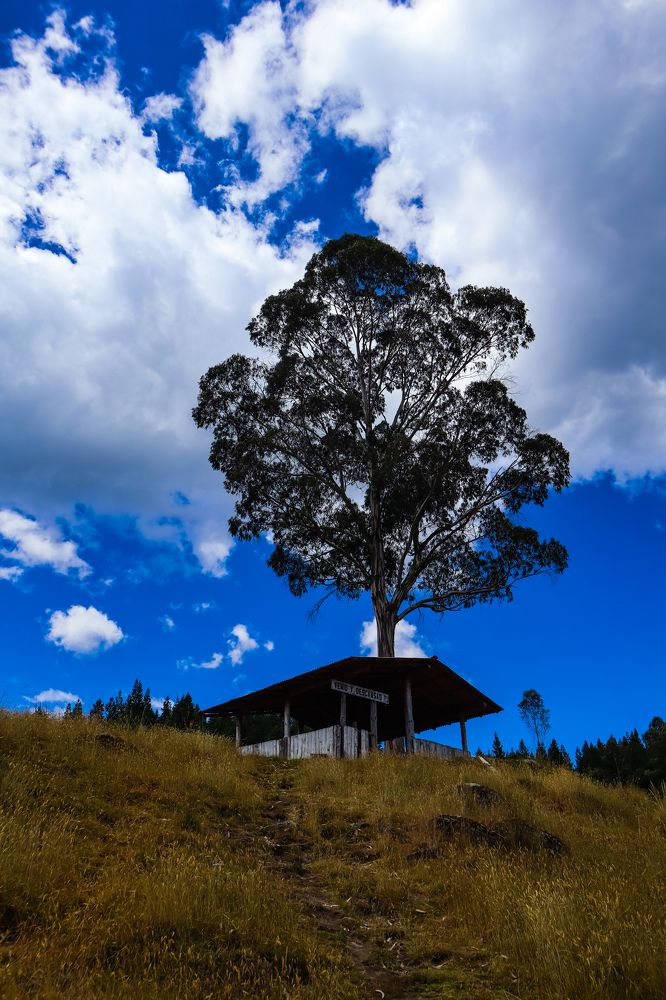 Photograph by Jorge Giol