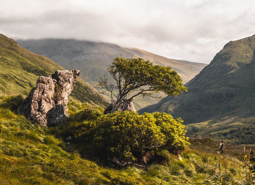 Фотография автора Voilmy Elliot