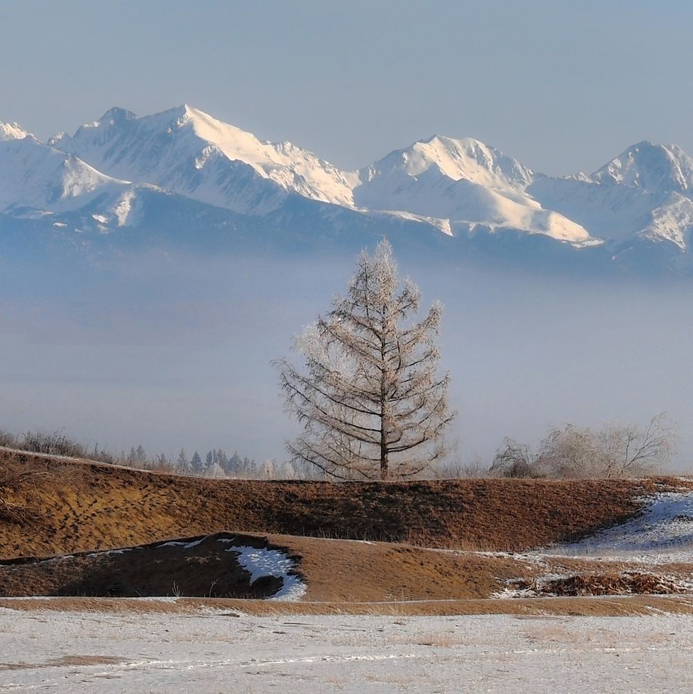 Photograph by Александр Попов