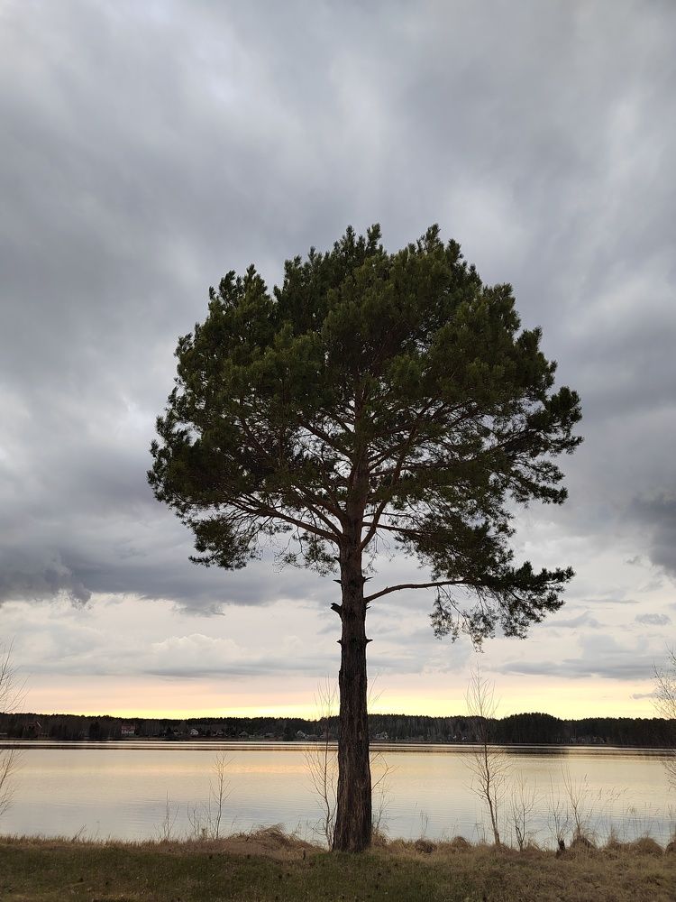 Photograph by Елена Аверьянова