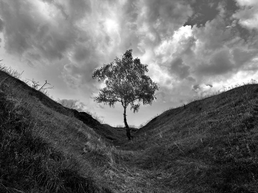 Photograph by Григорий Лыжин