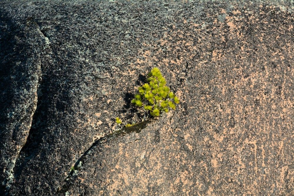 Photograph by Анатолий Каминский