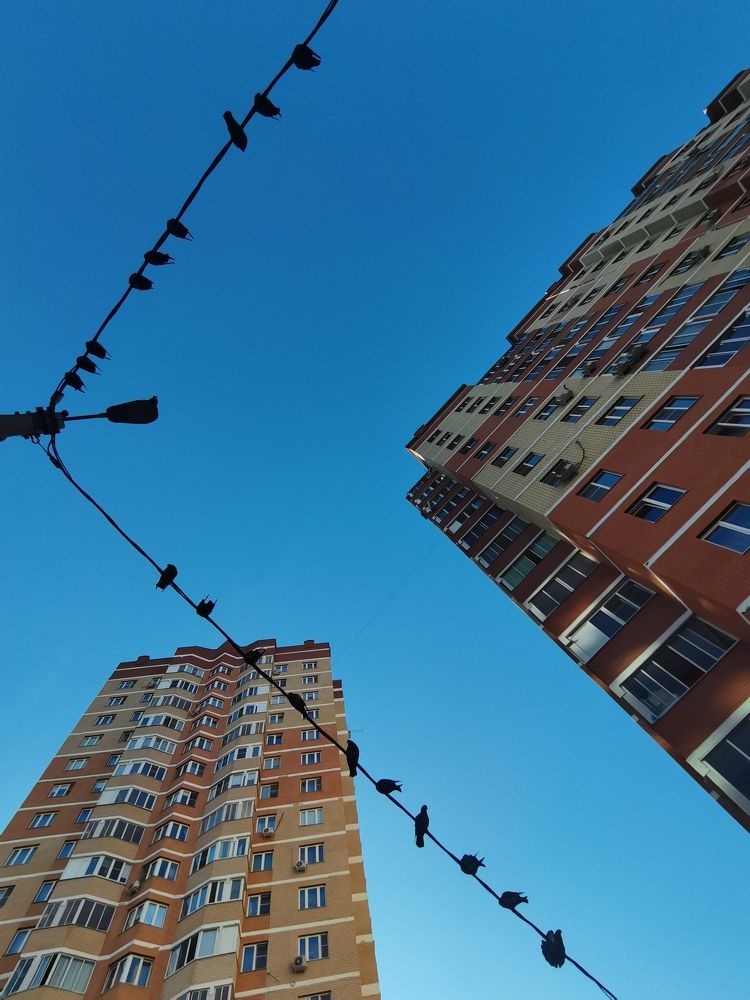 Photograph by Ольга Лукина