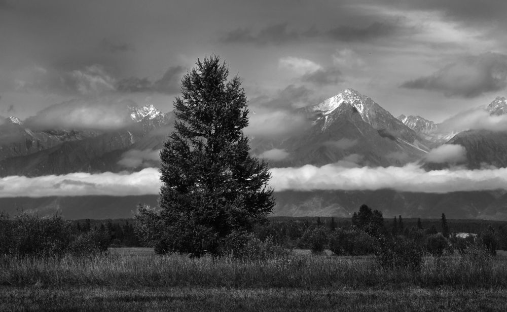 Photograph by Александр Попов