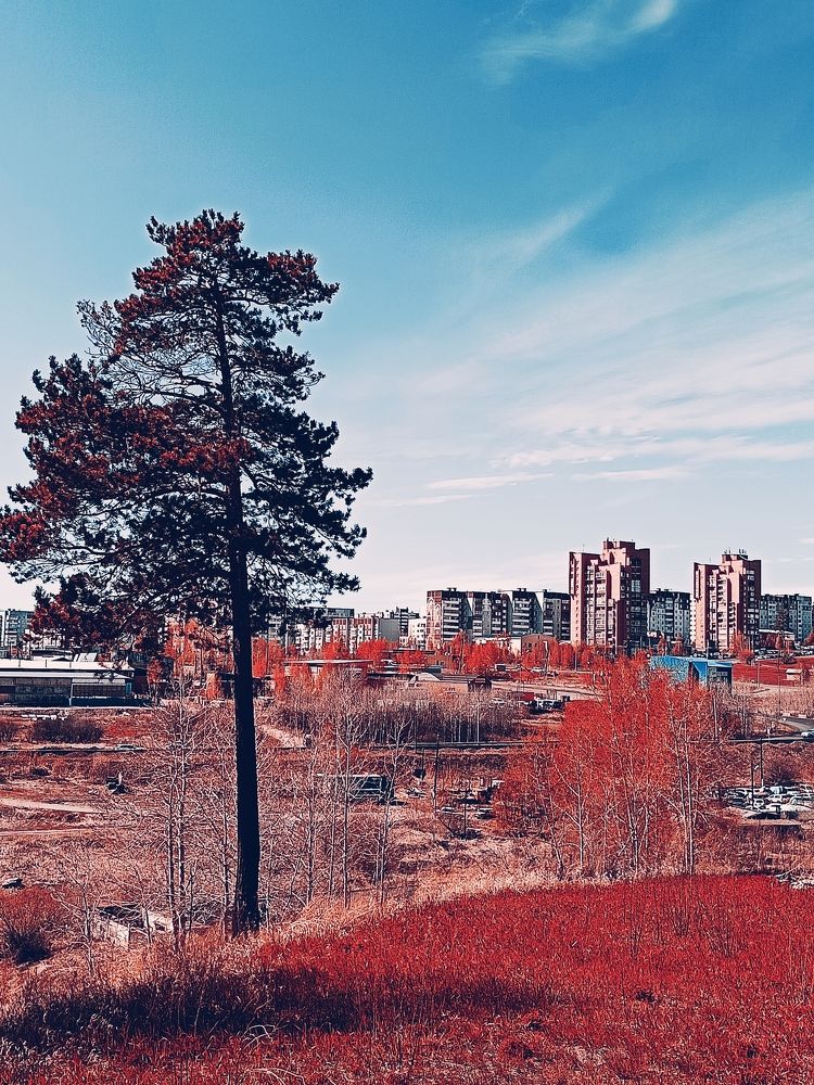 Цвет настроения - фламинго ?