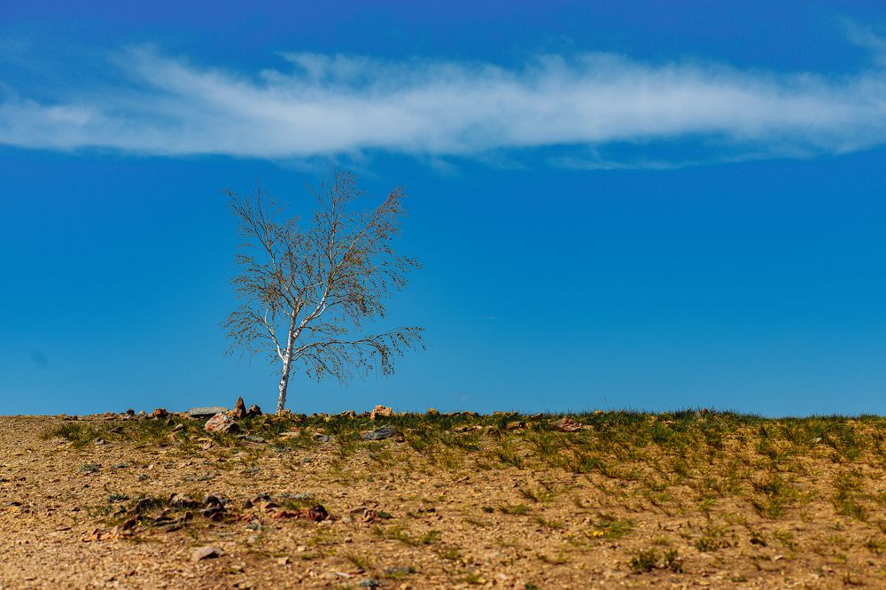 Photograph by Дмитрий Бровко