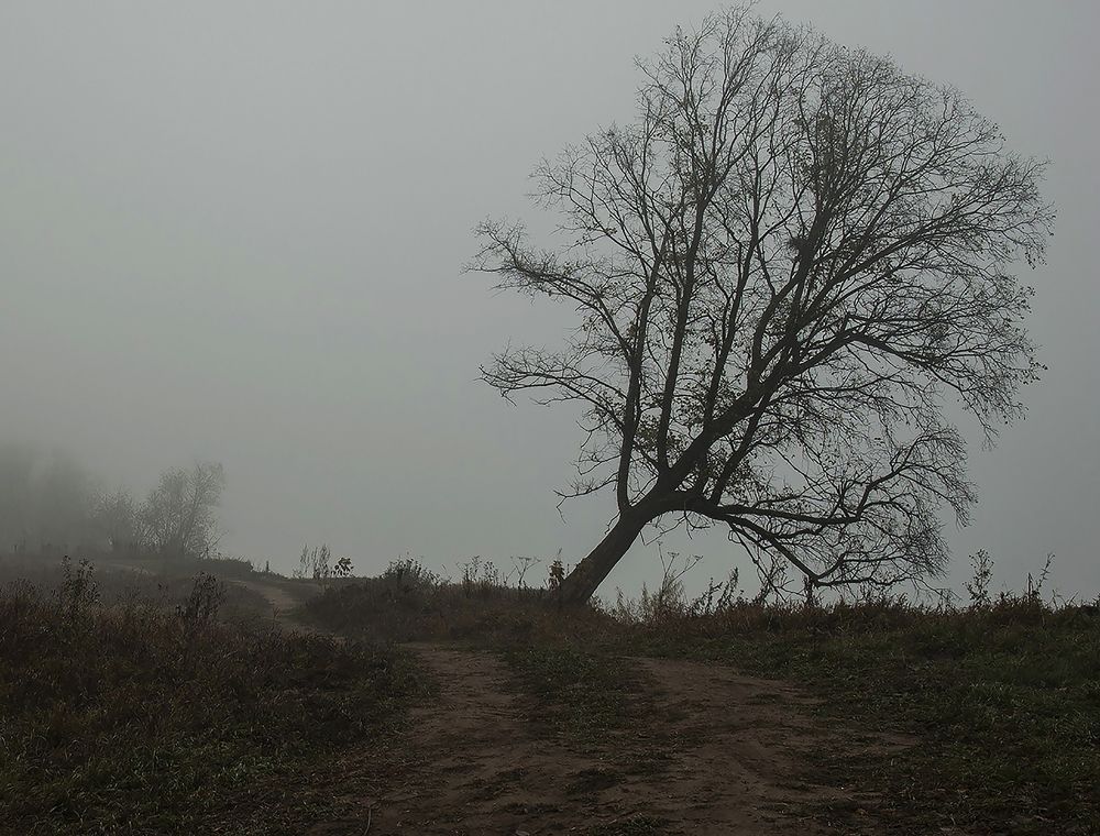 Photograph by Алексей Патлах