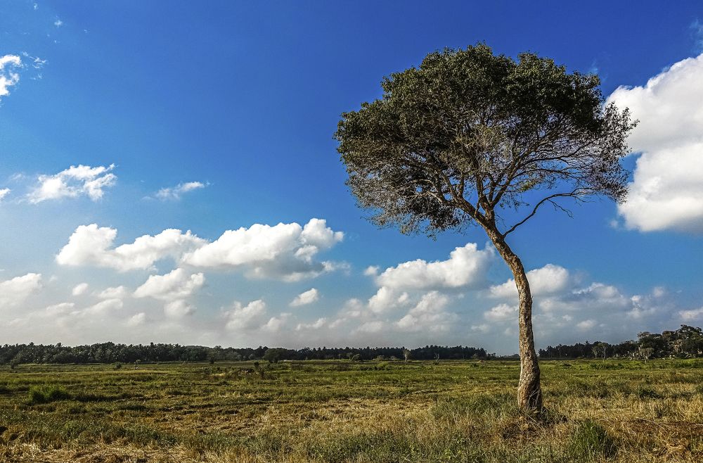 Photograph by Anantharajha Manoj