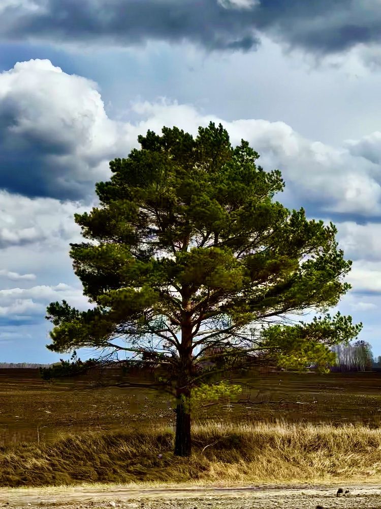 Photograph by Мария