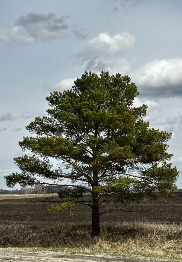 Photograph by Мария