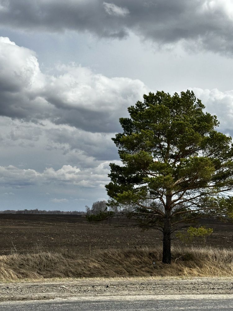 Photograph by Мария