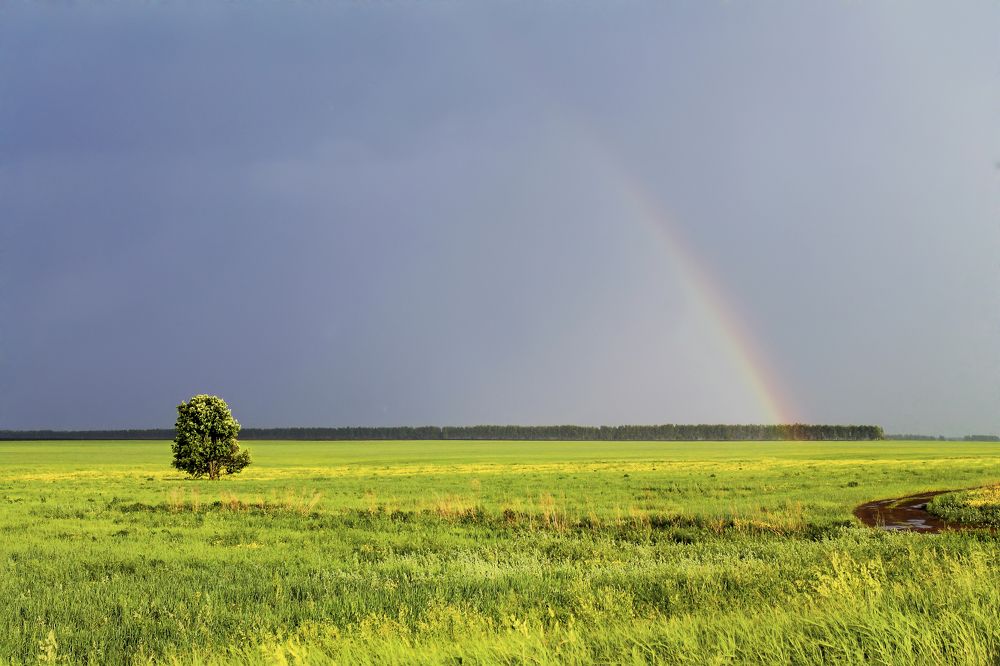 Photograph by Алексей Ромадов