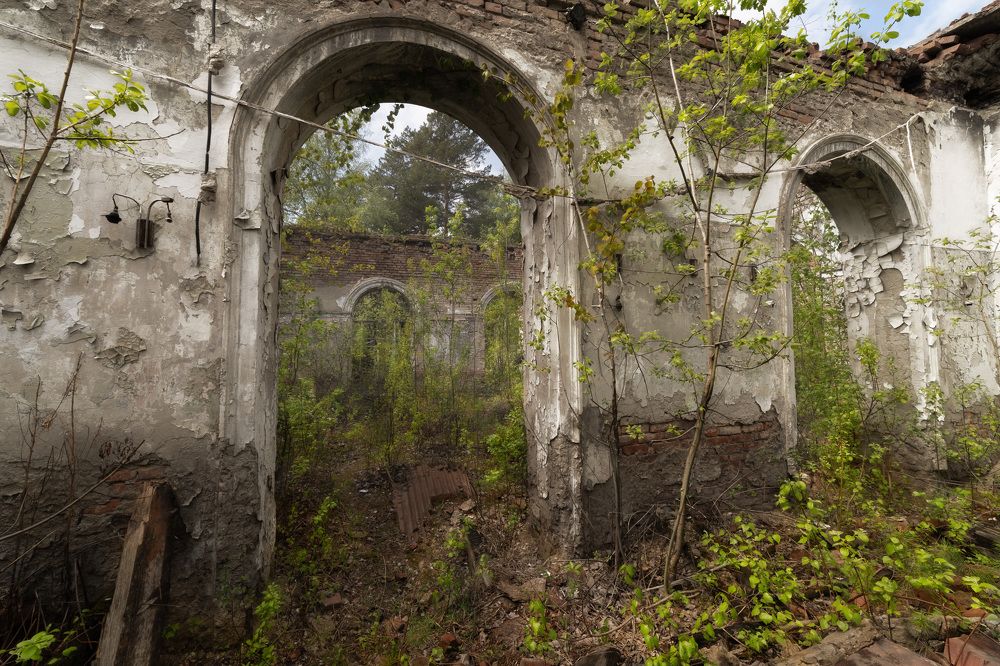 Photograph by Олег Шмельков