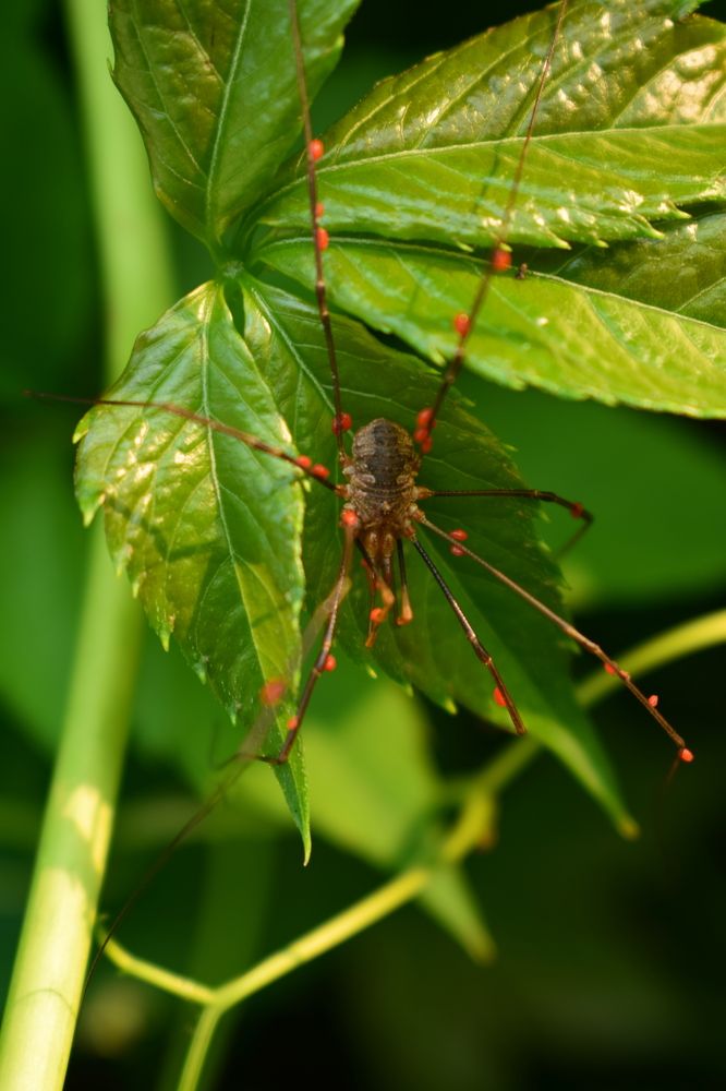 Photograph by Наталья Еременко