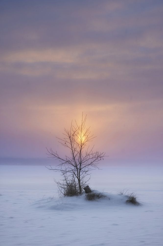 Photograph by Светлана Краюшкина