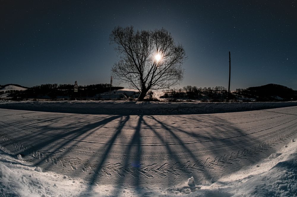 Photograph by Kostantin Belonogov